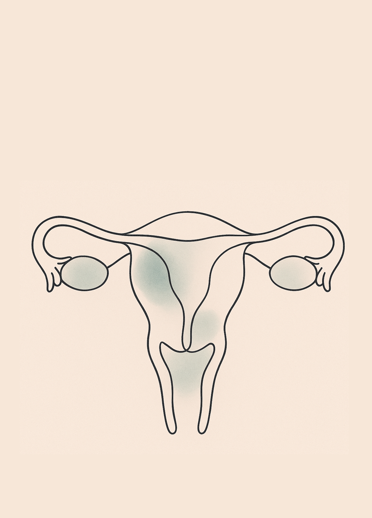 Uterus outline with shading