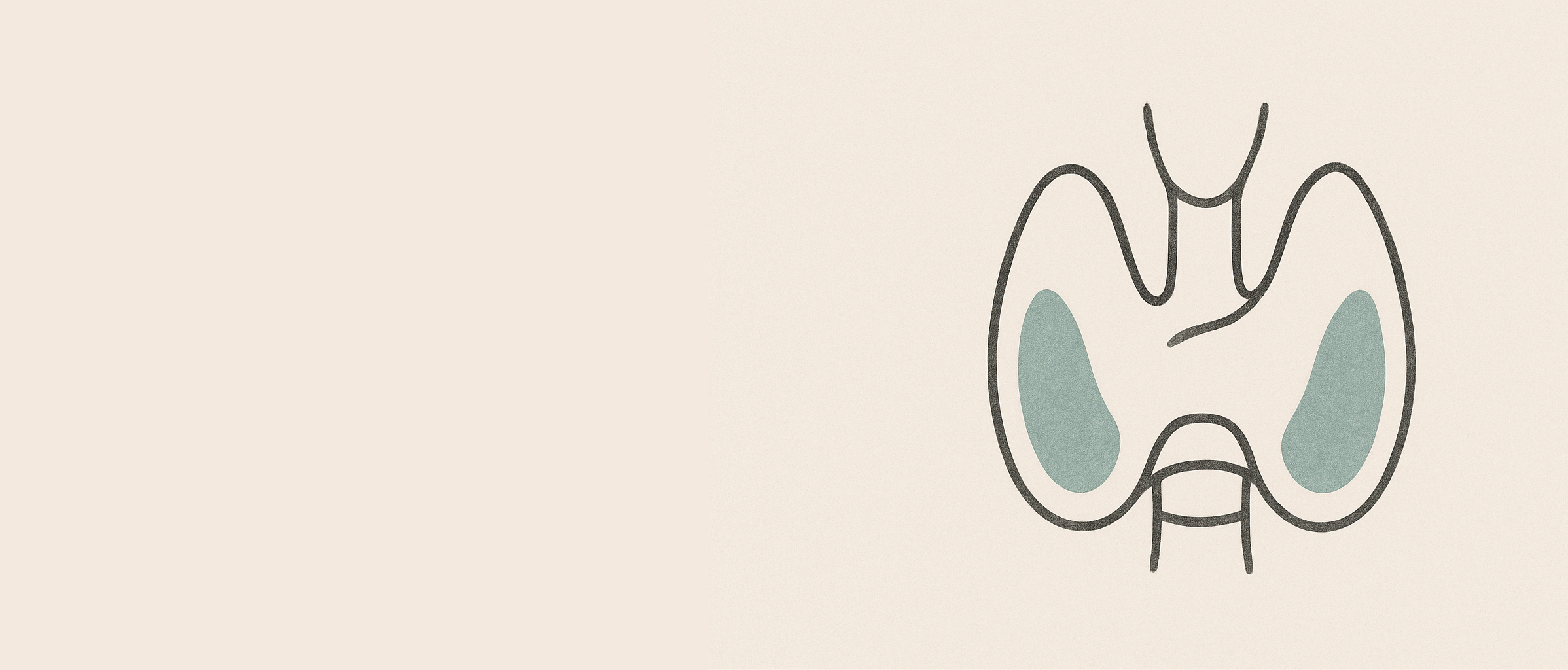 Thryroid gland outline with a blue blob in each side